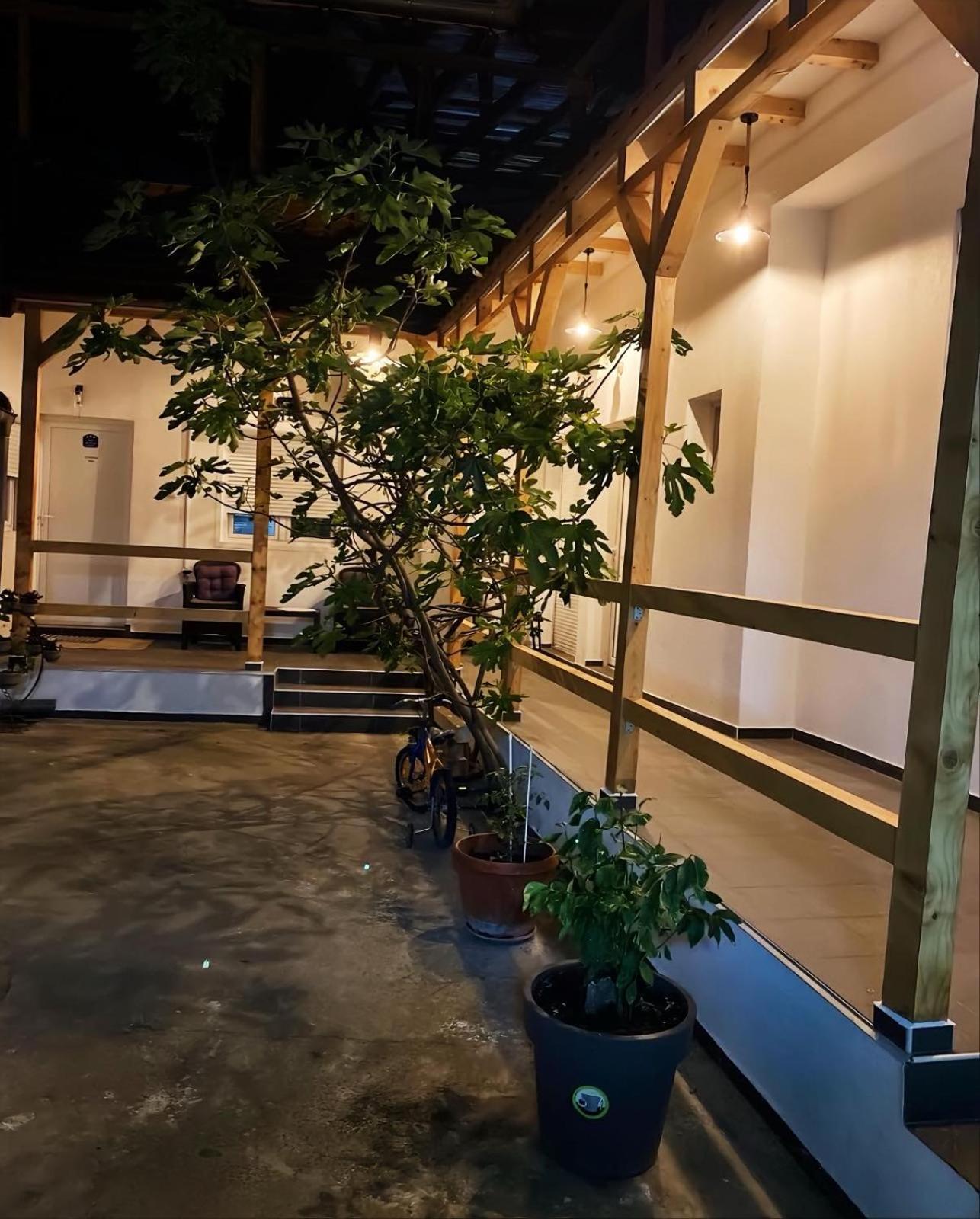 Apartman Nika Požarevac Exteriér fotografie